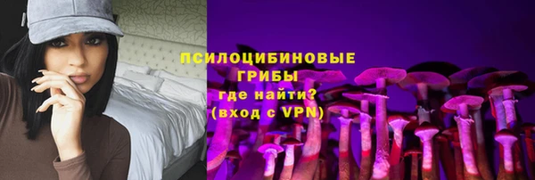 ГАЛЛЮЦИНОГЕННЫЕ ГРИБЫ Зеленодольск