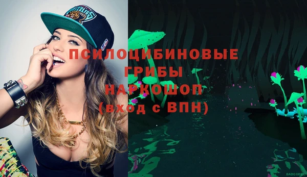 ECSTASY Зеленокумск